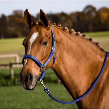 BUSSE Ohlávka Solid Soft BUSSE, royal blue FULL