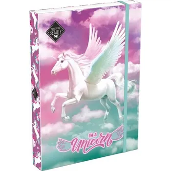 Set školních potřeb box na sešity A4 Magical Beauty Magic 24