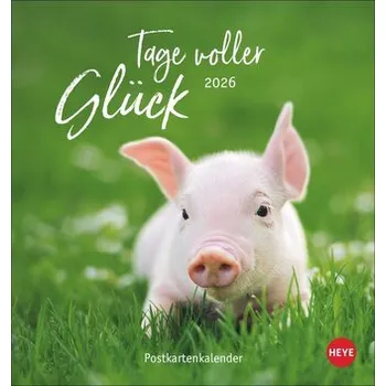 Osobní rozvoj Tage voller Glück Postkartenkalender 2026 - Heye