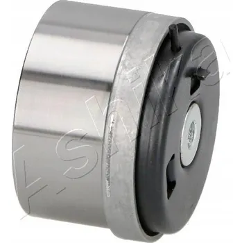 Rozvod motoru Ashika 45-0W-W14 Napínák rozvodového řemene