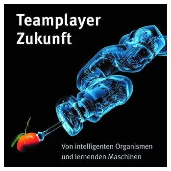 Teamplayer Zukunft - Piekenbrock, Patricia [DE] (2025, Firma, Vogel Business Media)