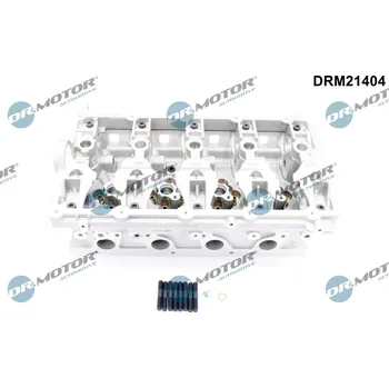 Válec motoru Hlava válce Dr.Motor Automotive DRM21404