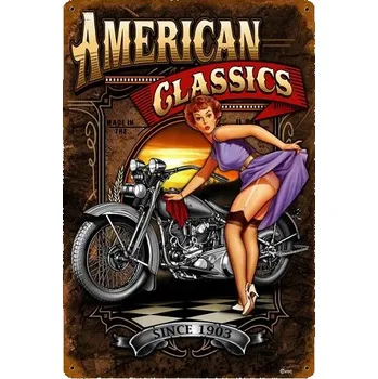 Plechová cedule Plechová retro cedule - American Classic Provedení: Dibond: 20 x 15 cm