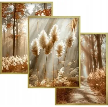 Obraz Obrazy Plakáty Zlatý rám Triptych v rámu dekorace na zeď Trávy Boho
