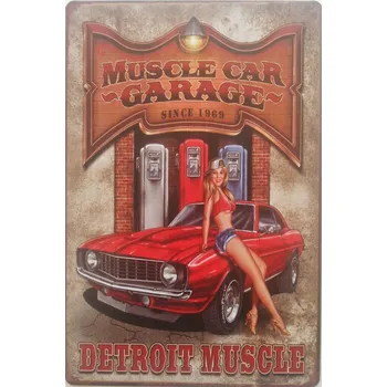 Plechová cedule Plechová retro cedule - Detroit Muscle Provedení: Hliník: 30 x 20 cm