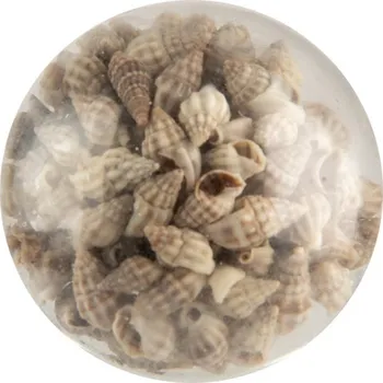 Dveřní kování Skleněná úchytka se zatavenými mušlemi – 5x4 cm