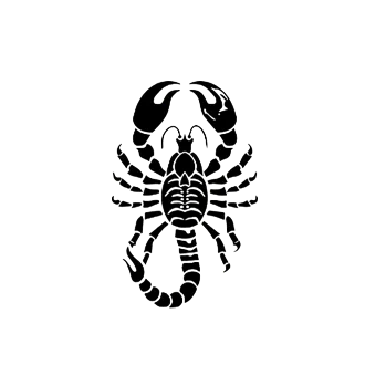 Nažehlovací obrázek - znamení zvěrokruhu štír (5,8 x 9,0 cm)