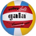 Gala Training Mini BV 4041 S vel. 4