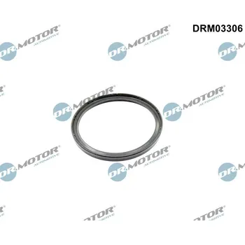 Těsnění motoru Těsnicí kroužek, hadice plnicího vzduchu Dr.Motor Automotive DRM03306