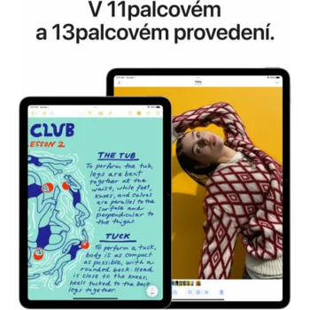 Tablet Apple iPad Air 11"/(M3) Wi-Fi/10,86"/2360x1640/8GB/512GB/iPadOS18/Space Gray