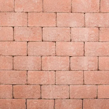 Dlažba LEIER Betonová dlažba PATIO cihlově-červená