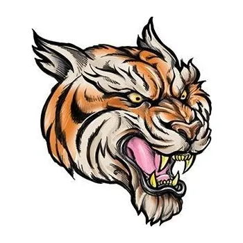 Odstranitelné tetování Tygr - nalepovací tetování