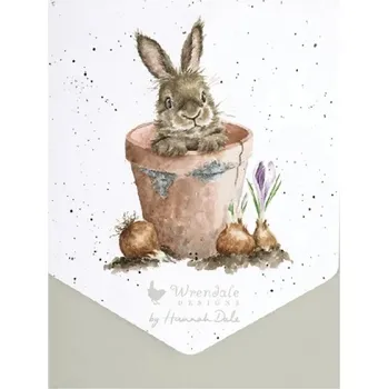 Sada přání a obálek, 8 ks - Králík v květináči