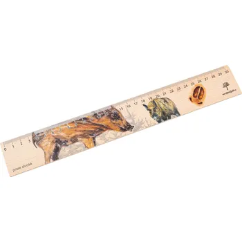 pravítka Lesní svět Dřevěné pravítko 30 cm - Prase divoké