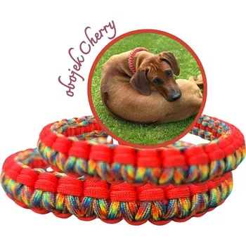 Obojek pro psa Stahovací obojek "Cherry" - do 49cm