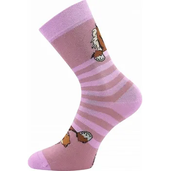 Dámské ponožky Ponožky s koněm