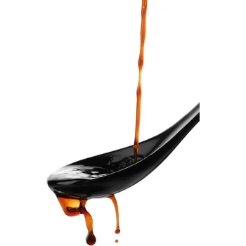 Dressing Sójová omáčka BIO 5 l Les Fruits du Paradis