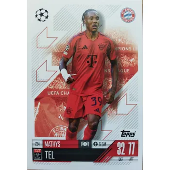 Sběratelská karetní hra Mathys Tel