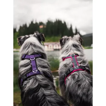 Postroj pro psa Postroj Comfort Plus - na zakázku