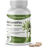 Herbyway Ostropestřec mariánský +…