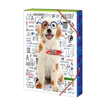 Sešit Argus Školní Box na sešity Little Genius Pes A4