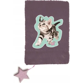 Zápisník Zápisník A5 Paso vícebarevný