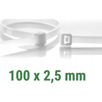 Stahovací páska HADICOVÁ SPONA STAHovací PÁSKA 100 x 2,5 mm 100 ks