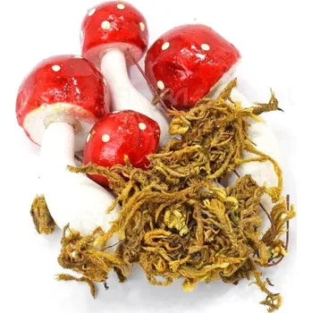 Podzimní dekorace, muchomůrky v mechu, 4 ks/bal.
