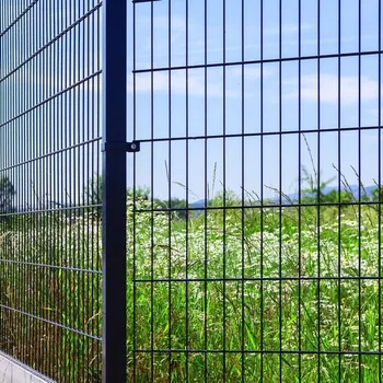 Plot Svařovaný plotový panel BRAVO 2D poplastovaný 2430 mm | antracitová šedá RAL 7016 | oko 50 × 200 mm | drát 2 × 6,0 mm / 5,0 mm