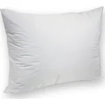 Brotex TENCEL nepropustný chránič na polštář 45x60 cm se zipem