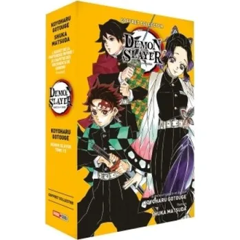 Cizojazyčná kniha Coffret Demon Slayer T15 + Roman jeunesse T06 (FR)