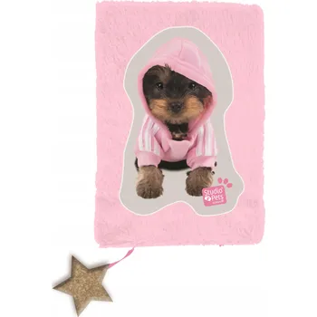 Zápisník Zápisník A5 Paso vícebarevný