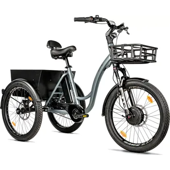 Elektrotříkolka Leader Fox E-Cargo Curtis 602 Wh 24" 2025 matně šedá