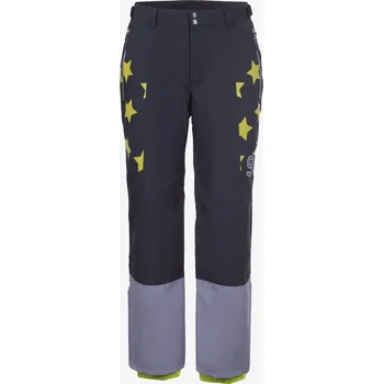 Pánské kraťasy ICEPEAK WADDED TROUSERS / CENTERTON 56 880709
