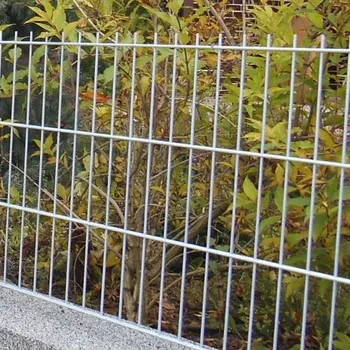 Plot Svařovaný plotový panel BRAVO 2D pozinkovaný 2430 mm | oko 50 × 200 mm | drát 2 × 6,0 mm / 5,0 mm