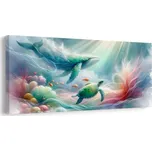 Dovido Obraz podmořský svět zvířat