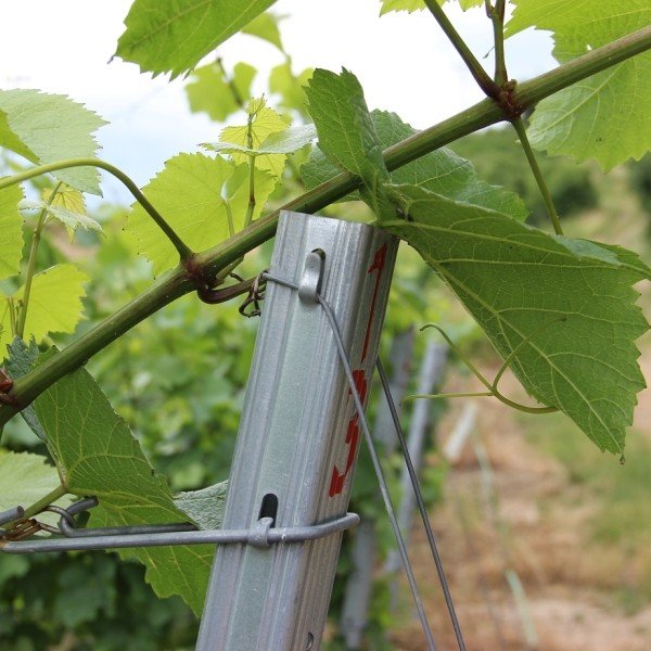 Vinohradnický sloupek pozinkovaný 2500 mm | obdélníkový profil 50 × 30 mm | řadový