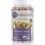 Garden of Life Mykind Organics Prenatal Multi žvýkací měkké tobolky pro ženy těhotné, kojící nebo plánující těhotenství příchuť Organic Berry 120 ks