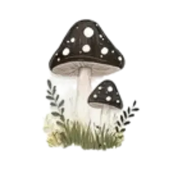 samolepka Samolepky - houby VIII (sada 5 ks)