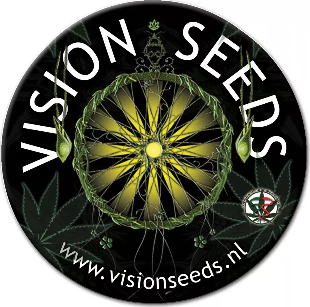 Vision Seeds - Big Bud