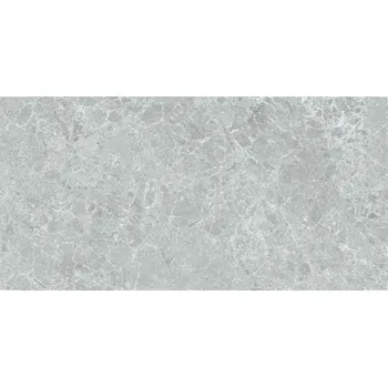 Dlažba DLAŽBA STN CERAMICA CHARISMA GREY MAT 60X120