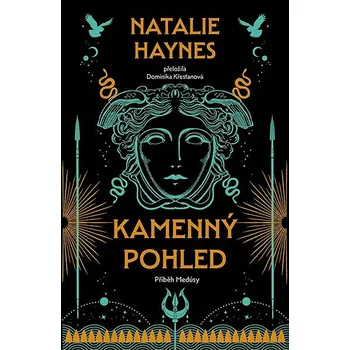 Kniha Kamenný pohled Ekniha