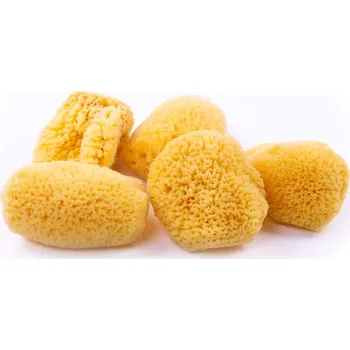 Kosmetická mořská houba Caribbean Sun 5-6 cm (SCS158)