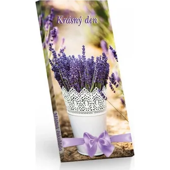 Čokoláda Mléč.čok. 100g - Krásný den