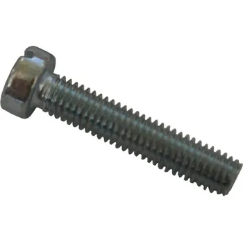 Šroub M5x25 zinek DIN84 válcová hlava (Šroub M5x25 zinek DIN84 válcová hlava)