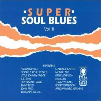 Zahraniční hudba CD Various: Super Soul Blues - Vol II 1991