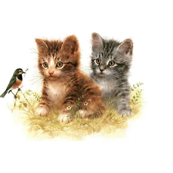 prostírání Prostírání plastové Kočky 28 x 43cm 1000610