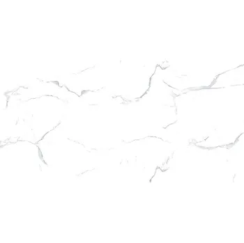 Dlažba DLAŽBA ANGEL MARBLE WHITE POLER 60X120