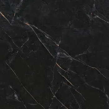 Dlažba DLAŽBA EBRO BLACK LAPPATO 59,6X59,6