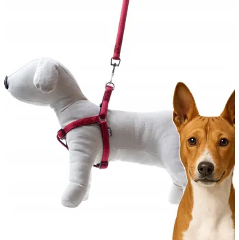 Vodítko pro psa Vodítko + postroj Soft Style Happet červené, délka 2,0 cm